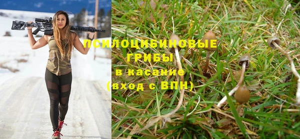 марки nbome Аркадак