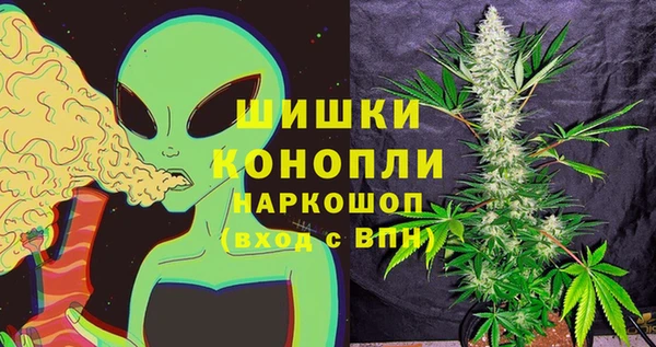 винт Арсеньев