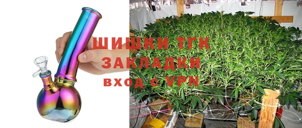 винт Арсеньев