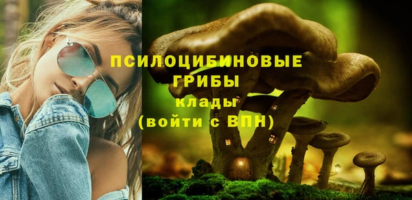 марки nbome Аркадак