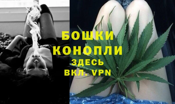 винт Арсеньев