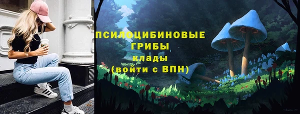 таблы Армянск
