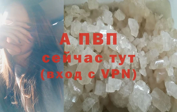 винт Арсеньев