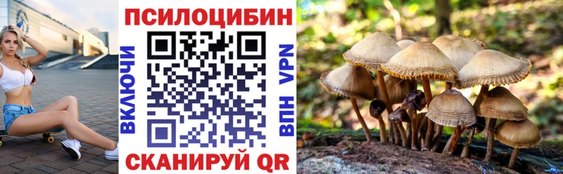 купить наркотики сайты  Курган  Псилоцибиновые грибы Psilocybine cubensis 